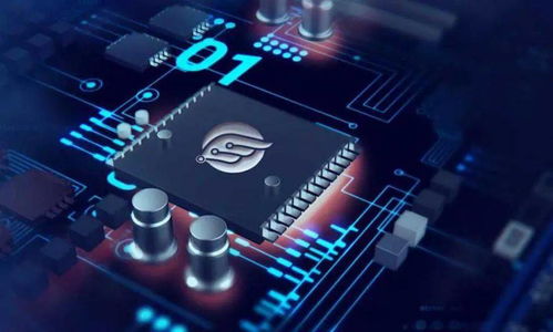 創(chuàng)業(yè)張江 物聯(lián)網(wǎng)領(lǐng)域的 后浪 芯翼信息科技勢(shì)頭正勁